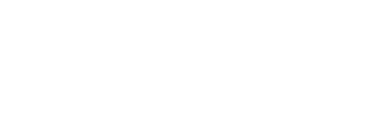 Online Store